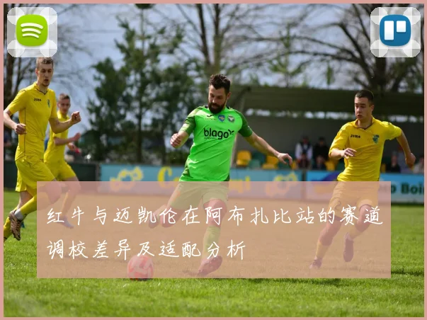 红牛与迈凯伦在阿布扎比站的赛道调校差异及适配分析